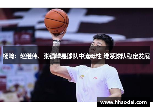 杨鸣：赵继伟、张镇麟是球队中流砥柱 维系球队稳定发展